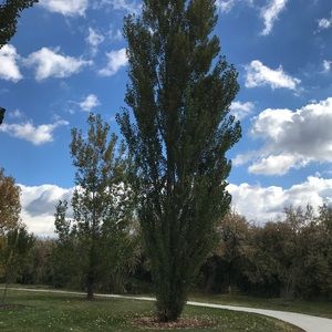 Meet your Posher, Kai